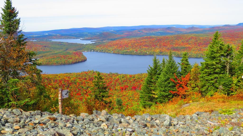Le Gite Ambrelane Thetford Mines Eksteriør bilde