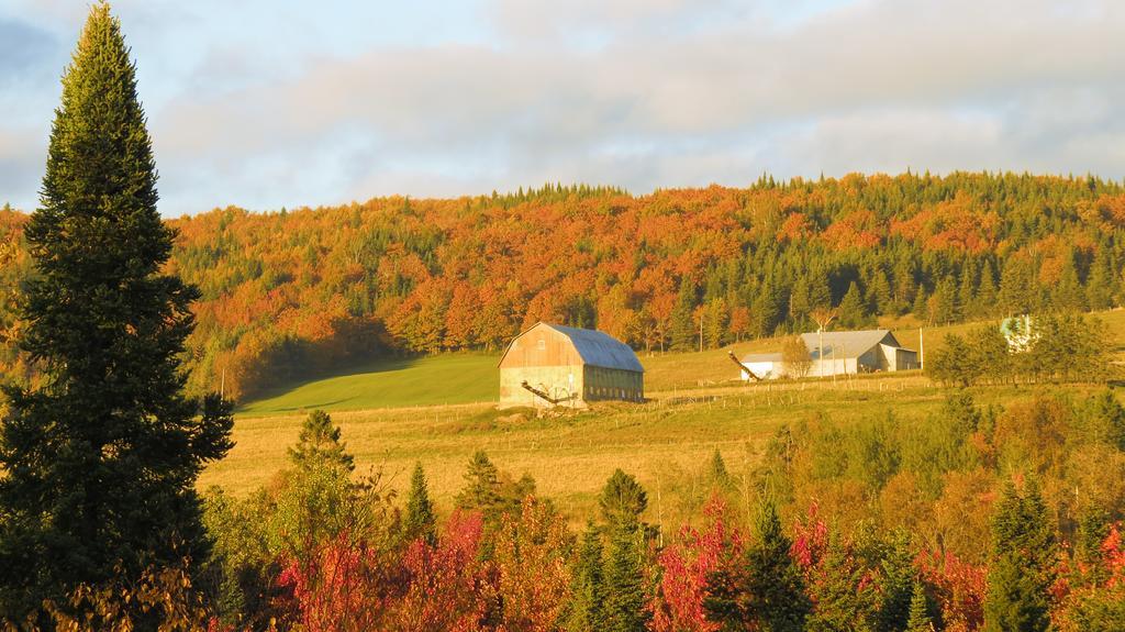 Le Gite Ambrelane Thetford Mines Eksteriør bilde